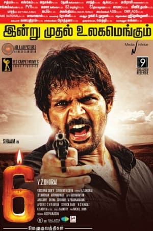 6 Candles (2013) Hindi Dubbed 350MB - Movierulz