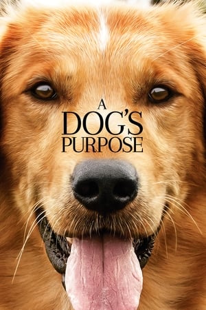 A Dog's Purpose (2017) Full Movie 850MB