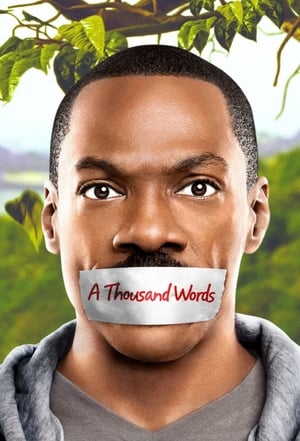 A Thousand Words (2012) Hindi Dual Audio [800MB] - Movierulz