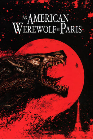 An American Werewolf in Paris 1997 Hindi Dual Audio [860MB] - Movierulz