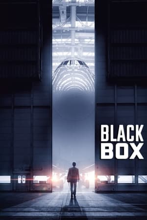 Boxed 2021 Hindi Movie – [330MB] - Movierulz