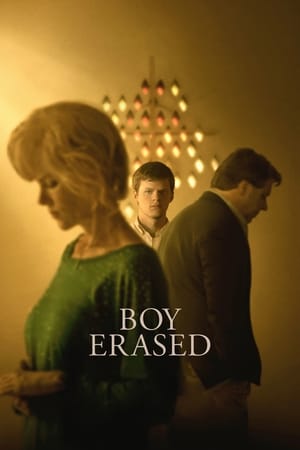 Boy Erased (2018) Hindi Dual Audio [900MB] - Movierulz