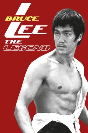 Bruce Lee the Legend 1984 Hindi Dual Audio HDTVRip [1GB]