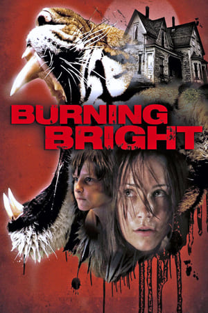 Burning Bright (2010) Hindi Dual Audio 300MB - Movierulz
