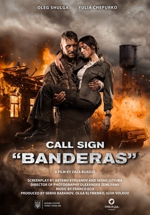 Call Sign Banderas (2018) Hindi Dual Audio – 480p
