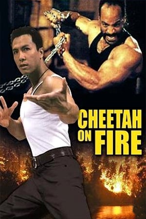 Cheetah on Fire 1992 Hindi Dual Audio 290MB - Movierulz