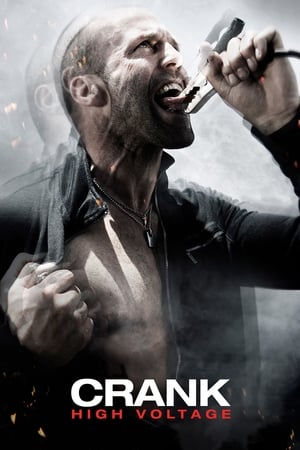 Crank: High Voltage (2009) Hindi Dual Audio [1GB]