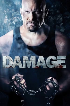 Damage 2009 Hindi Dual Audio [970MB] - Movierulz