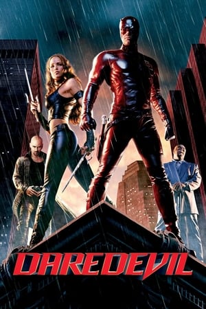 Daredevil (2003) Hindi Dual Audio [880MB]