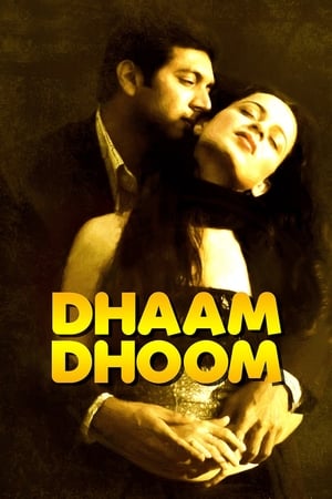 Dhaam Dhoom 2008 Dual Audio [Hindi - Tamil] [1.3GB] - Movierulz