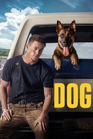 Dog (2022) Hindi Dual Audio – - Movierulz
