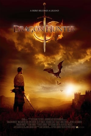 Dragon Hunter (2009) Hindi Dual Audio 300MB - Movierulz