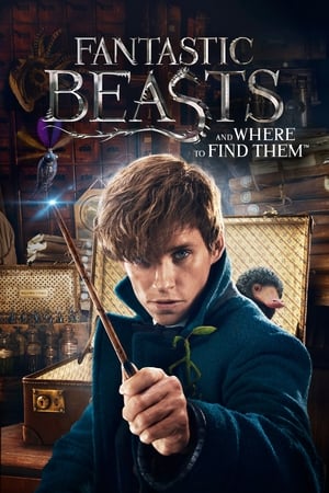 Fantastic Beasts and Where to Find Them 2016 Dual Audio (Hindi) [300MB] - Movierulz