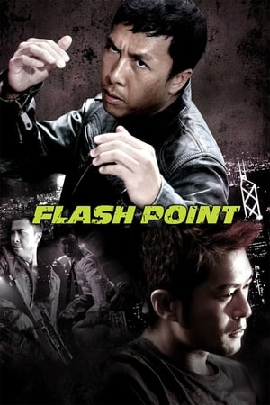 Flash Point (2007) Hindi Dual Audio 300MB - Movierulz