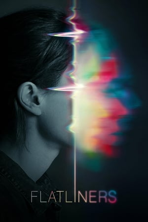 Flatliners (2017) Hindi Dual Audio – - Movierulz