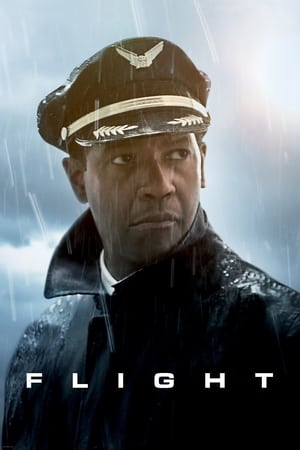 Flight (2012) Hindi Dual Audio [1GB] - Movierulz