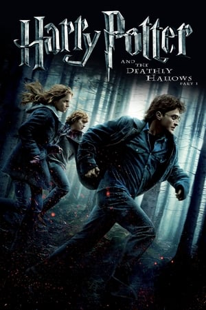 Harry Potter and the Deathly Hallows 2010 – Part 1 Hindi Dubbed [1.0GB] Download - Movierulz