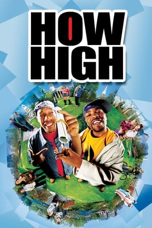 How High (2001) Hindi Dual Audio 300MB