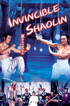 Invincible Shaolin 1978 Hindi Dual Audio 300MB - Movierulz