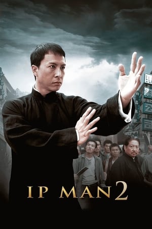 Ip Man 2 (2010) Hindi Dual Audio [1GB]