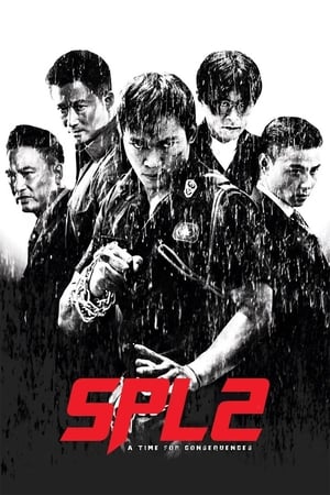 Kill Zone 2 (2015) Hindi Dual Audio [1.5GB] ESubs - Movierulz
