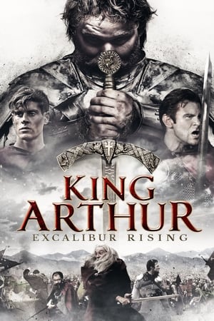 King Arthur: Excalibur Rising 2017 Hindi Dual Audio – - Movierulz
