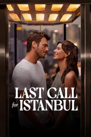 Last Call for Istanbul 2023 Hindi Dual Audio – - Movierulz