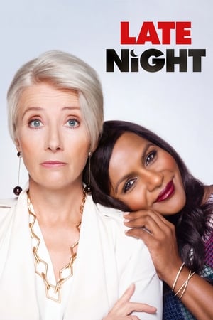 Late Night 2019 Hindi Dual Audio 300MB - Movierulz