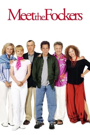 Meet the Fockers (2004) Hindi Dual Audio [1.1GB] - Movierulz
