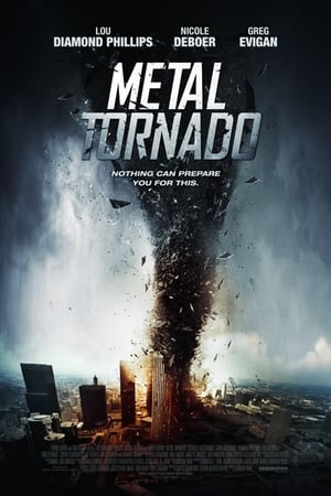 Metal Tornado 2011 Hindi Dual Audio 300MB - Movierulz