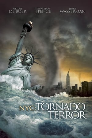NYC Tornado Terror 2008 Hindi Dual Audio [1.1GB] - Movierulz