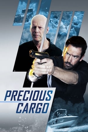 Precious Cargo (2016) Hindi Dual Audio 300MB - Movierulz