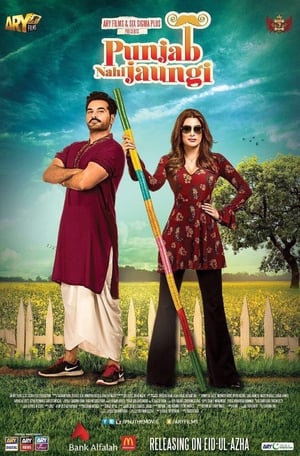 Punjab Nahi Jaungi (2017) Movie HDTVRip - [450MB]