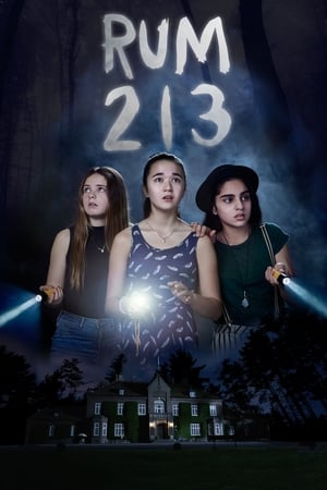 Rum 213 2017 Hindi Dual Audio 280MB - Movierulz