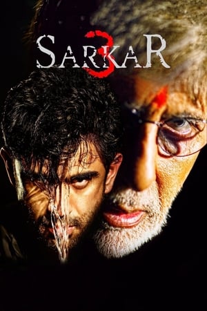 Sarkar 3 2017 Full Movie [700MB] Download