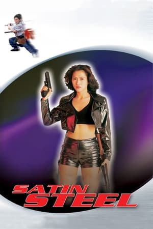Satin Steel (1994) Hindi Dual Audio [700MB] - Movierulz