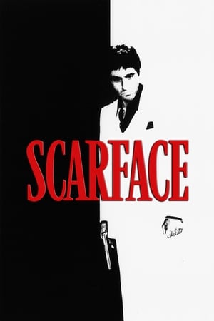 Scarface (1983) Dual Audio Hindi Movie - 1.4GB