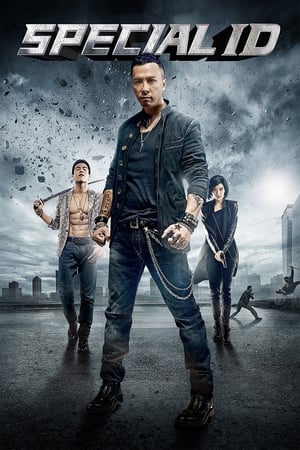 Special ID (2013) Hindi Dual Audio [150MB] - Movierulz