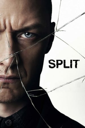 Split (2016) Hindi Dual Audio 400MB - Movierulz