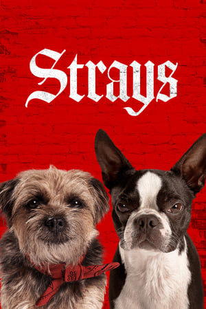 Strays (2023) Hindi Dual Audio – - Movierulz