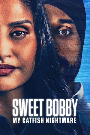 Sweet Bobby: My Catfish Nightmare (2024) Hindi Dual Audio – 720p – 480p