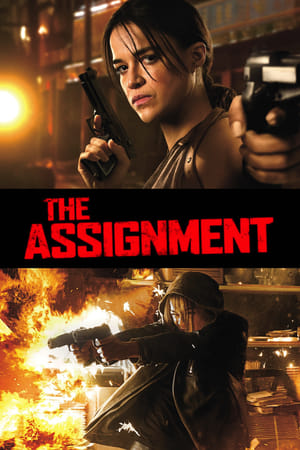 The Assignment (2016) Hindi Dual Audio [850MB] - Movierulz