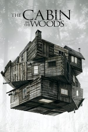 The Cabin in the Woods (2011) Hindi Dual Audio 300MB