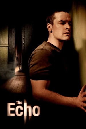 The Echo (2008) Hindi Dual Audio 300MB - Movierulz