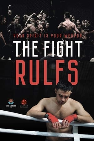 The Fight Rules 2017 Hindi Dual Audio [730MB] - Movierulz
