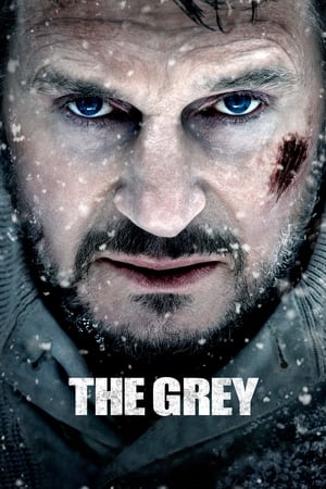 The Grey 2011 Hindi Dual Audio [830MB] - Movierulz