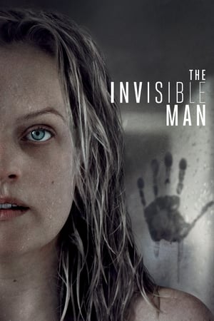 The Invisible Man (2020) Hindi (ORG) Dual Audio 400MB - Movierulz