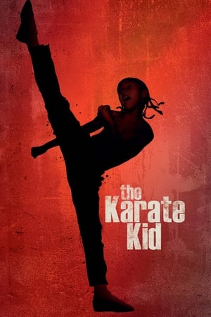 The Karate Kid 2010 Hindi Dubbed 300MB Full Movie