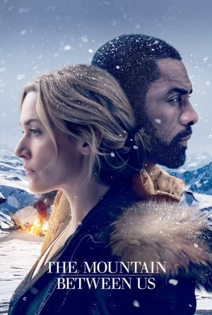 The Mountain Between Us 2017 Dual Audio Hindi [180MB] - Movierulz