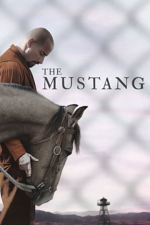 The Mustang (2019) Hindi Dual Audio 300MB - Movierulz